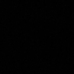 Meet your Posher, Dillon